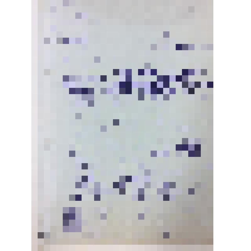 Письмо "Письмо"