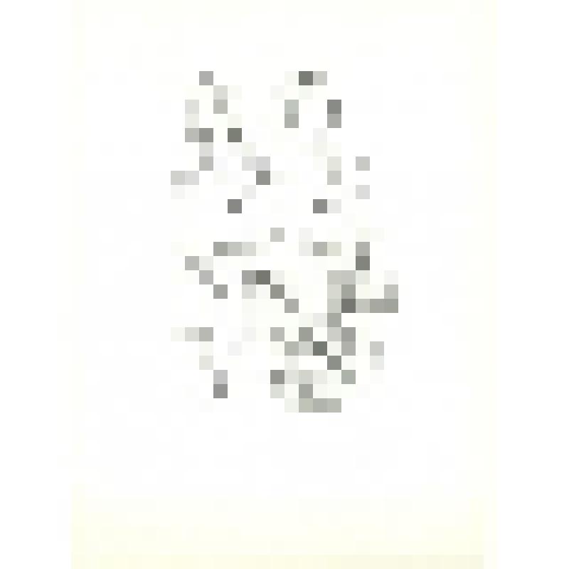 «Меня вызвали плясать…». Лист 4.  Сюита «Георгиновый букет. Новгородские частушки». 1958-1962