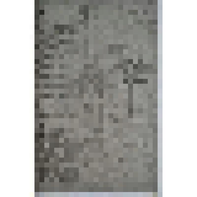 Газета. Газета. Советская мысль. Орган Северо-Двинских Губисполкома и Губкомитета Р.К.П. (Большевиков). Великий Устюг, № 199 от 13 сентября 1921 года