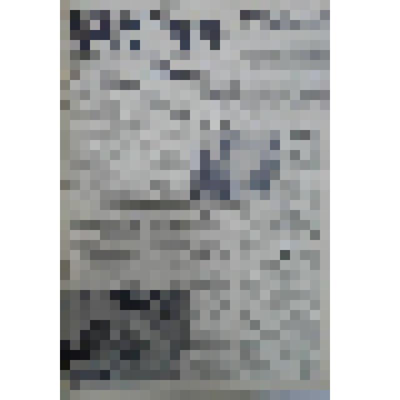 Газета "Рабочая трибуна" № 80 (3602) вторник, 5 июля 1983 года