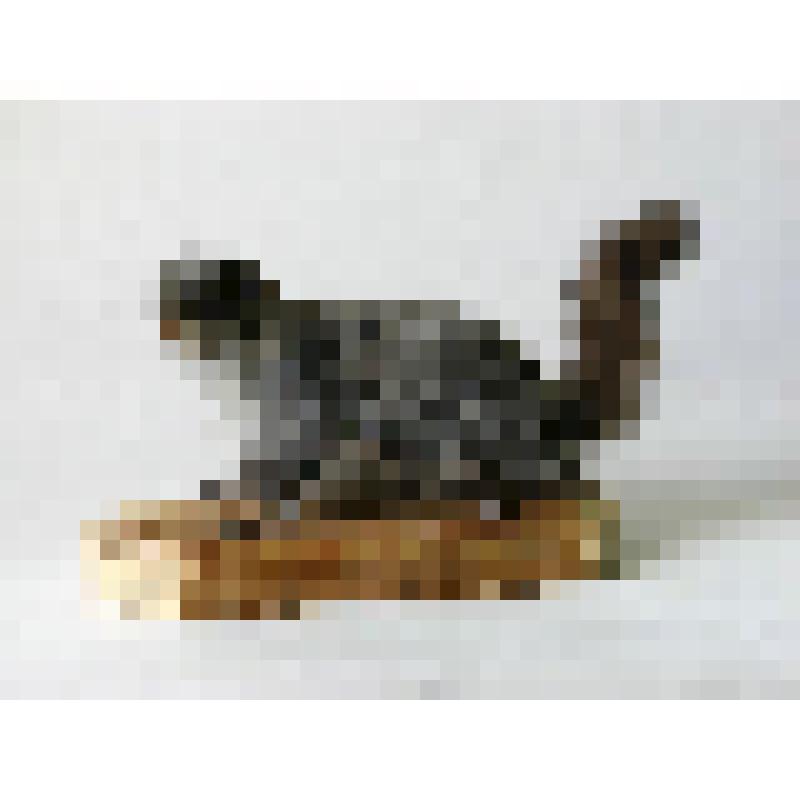 Чучело. Летяга. Pteromys volans L., 1758