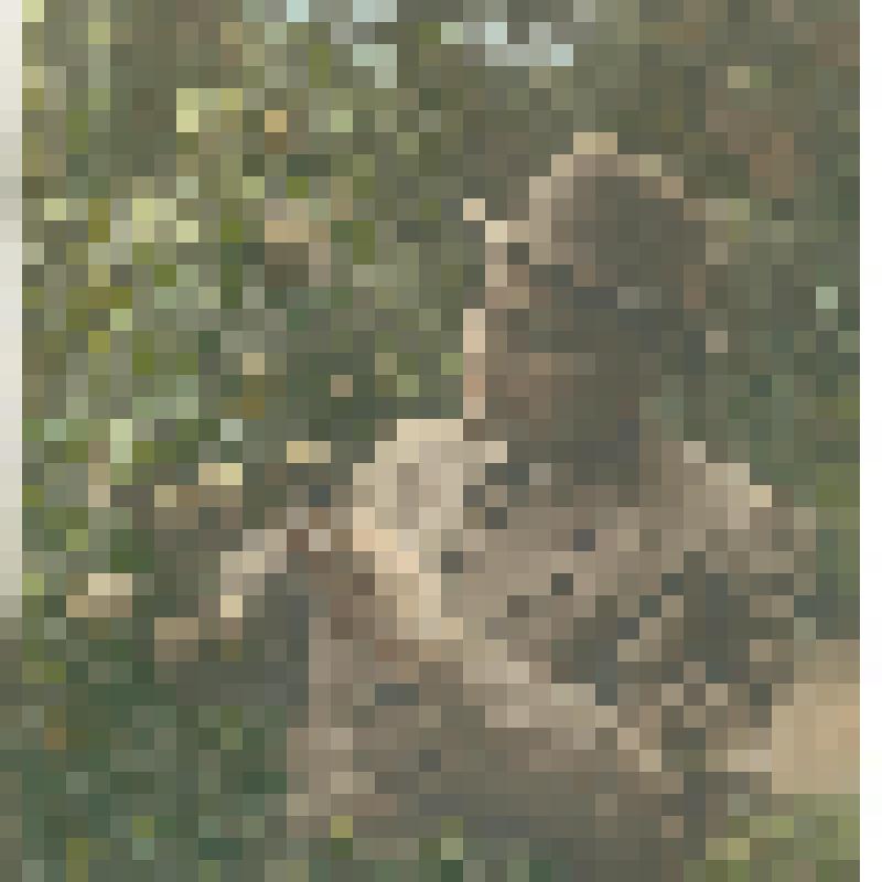 Яковлев П.Н. в саду