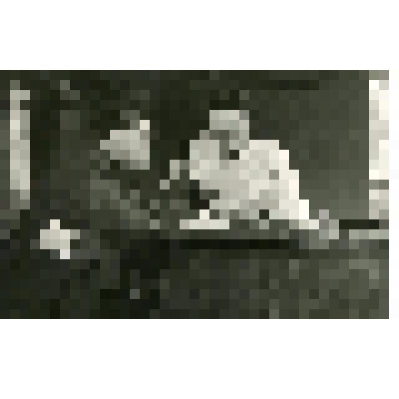 Фотография. Павел Шорохин - И.А. Каменский, Антон - Б.И. Авдюхов. Павел сидит за столом. В левой руке у него телефонная трубка. Антон стоит, руками держась за стол. "Небесное создание" (пост. И. Ворошилов, худ. Золотарев.). Москва, Центральный театр Совет