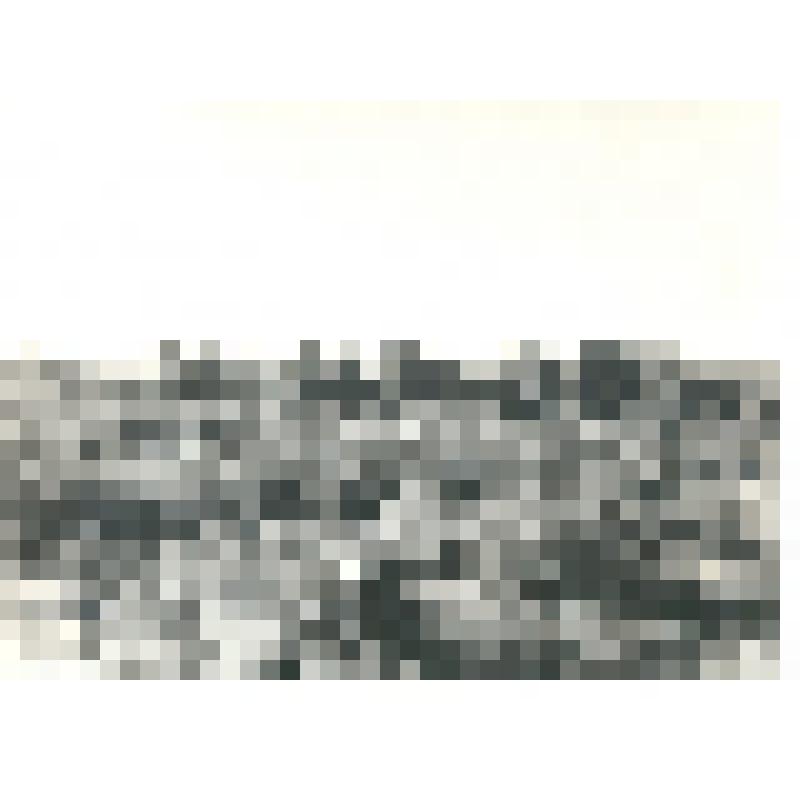 Фотография черно-белая. Закустаренная пойма реки  Сев