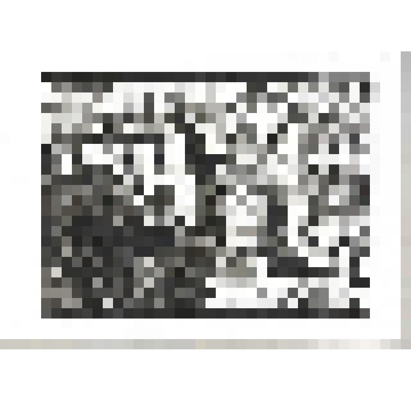 Линогравюра. Никольские ворота