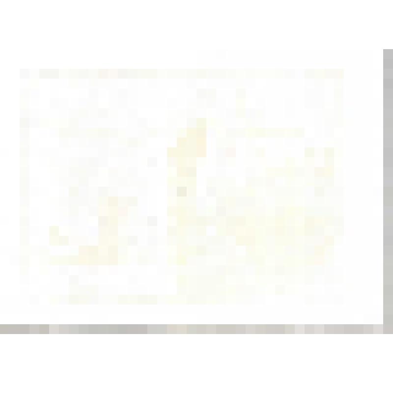 Линогравюра. Никольские ворота