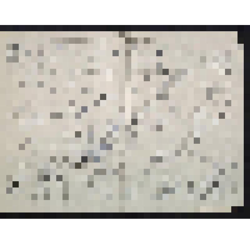 Карта Бурят-Монгольской АССР. Иркутск Наркомзем БАССР 1924 г. М. 10 верст в дюйме. 1 из 21 л.л. 1 из 21 пр