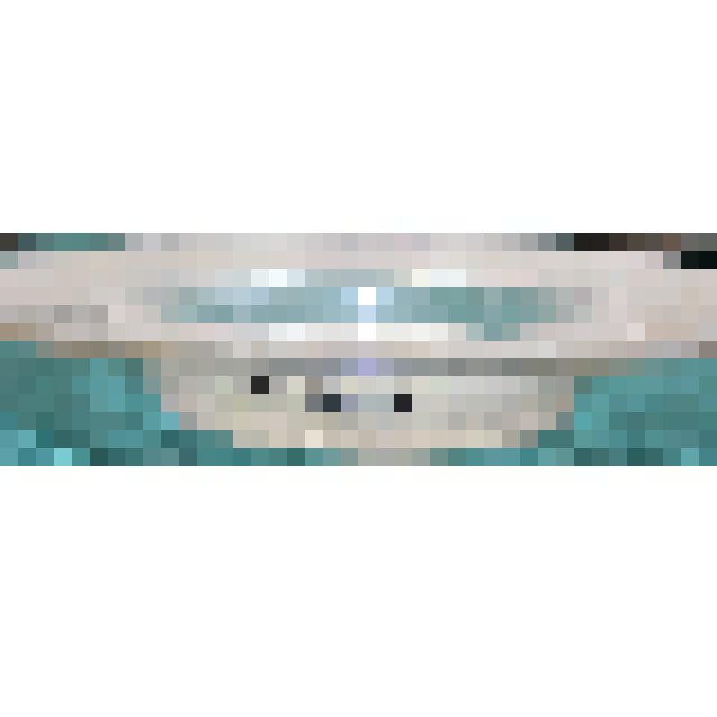 Тарелка. Стекло с алмазной гра-нью, растительный орнамент. Стекло