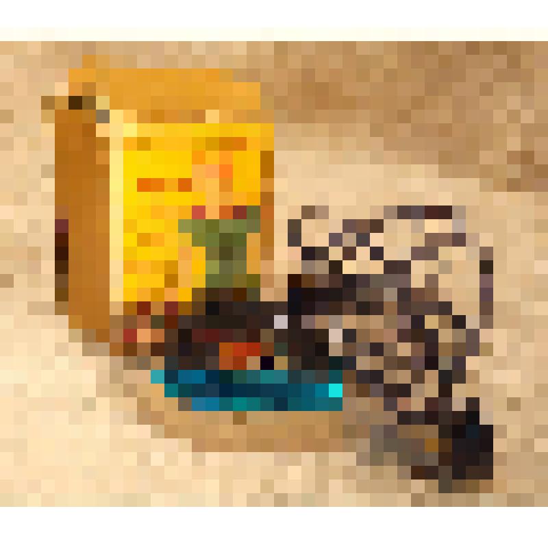 Утюг электрический дорожного типа УЭ-4, из коллекции бытовых предметов семьи Быковой Валерии Алексеевны, преподавателя ПИ СГУ