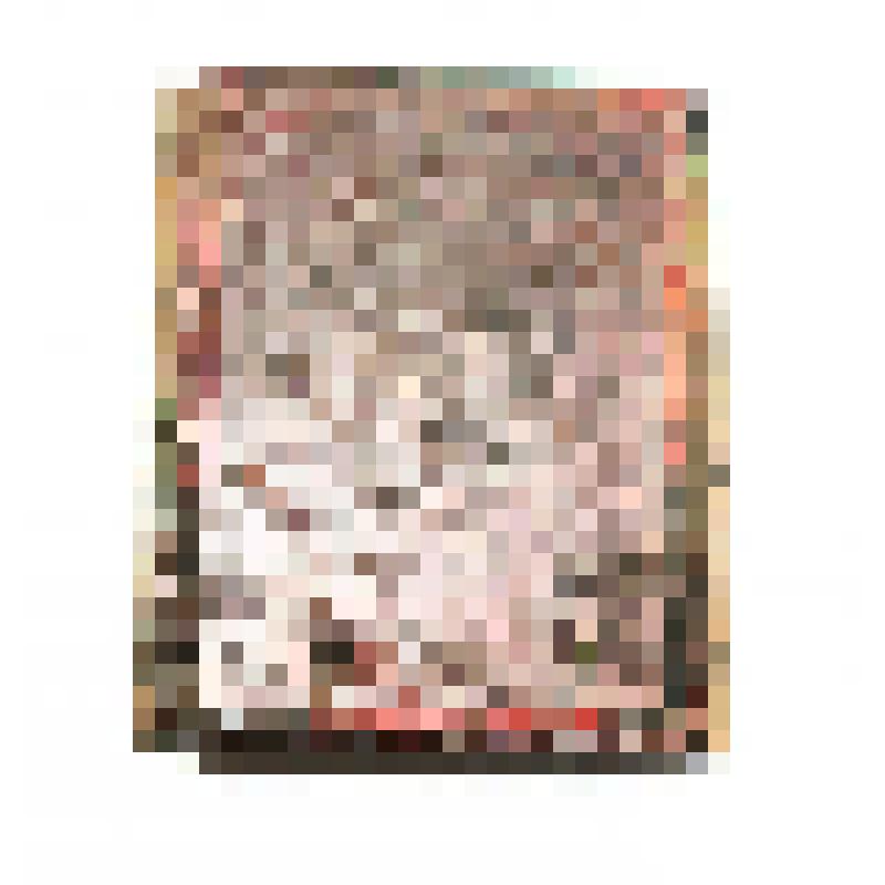 Клише рисунка почтовой марки Макао из серии, посвященной 400-летию открытия Васко да Гамой морского пути в Индию (Муза истории)