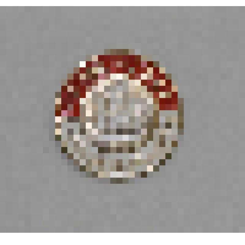 Нагрудный знак "ОСВОД РСФСР. Юный осводовец"