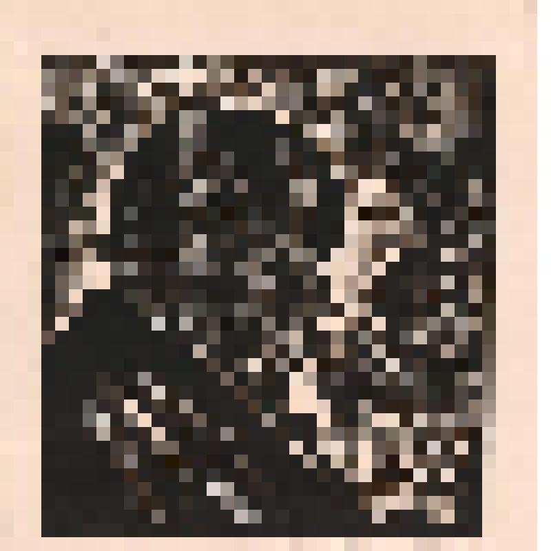 Линогравюра. Тарас Шевченко