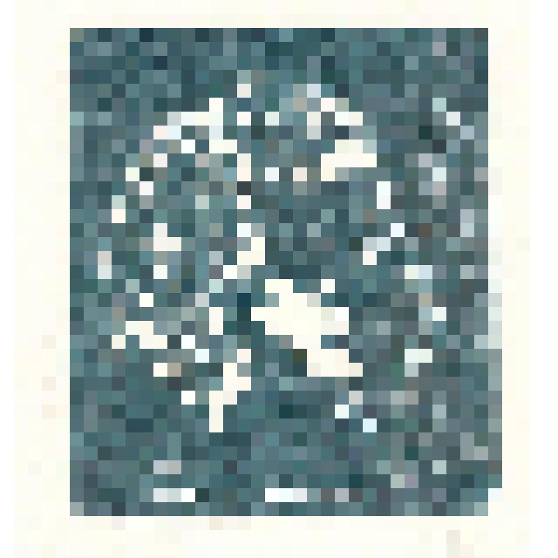 Экслибрис "Ex Libris Я. Бердичевского"