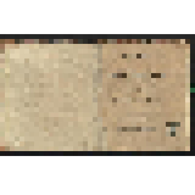 Книга. Палаты Санктпетербургской Императорской Академии наук библиотеки и кунсткамеры с кратким показанием всех находящихся в них художественных и натуральных вещей сочиненное для охотников оныя вещи смотреть желающих