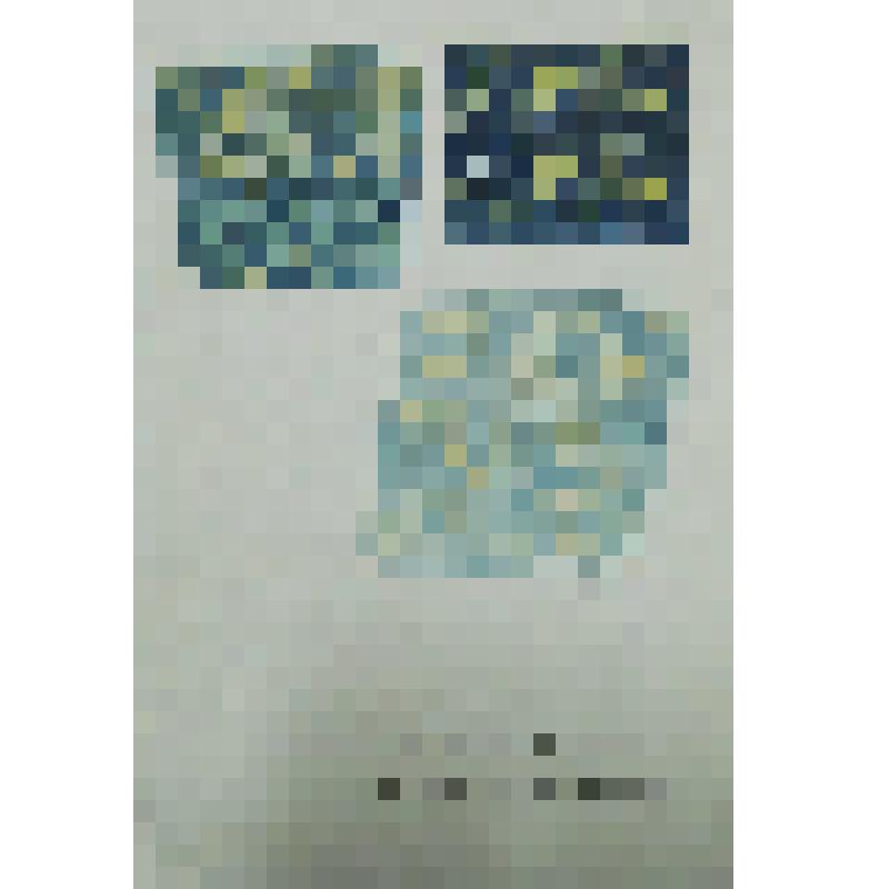 Орнамент. Проект декора набойки на холсте. Рисунок