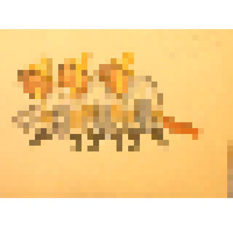 Эскиз куклы. "Бригада бобров".Театр кукол. "Кошкин дом" (Режиссер В. Бредис). Кострома