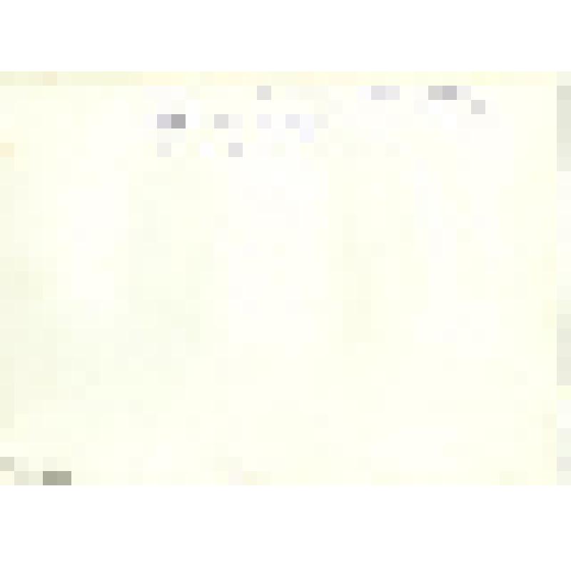 Фотография Тоболяков В.П. и Халтурин В