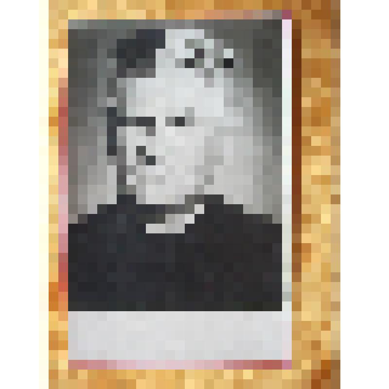 Фотография "Токарев Павел Федорович, командир партизанского отряда "Гневный Дон"