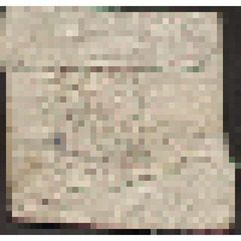 Вышивка  бисером: павлин с распущенным хвостом