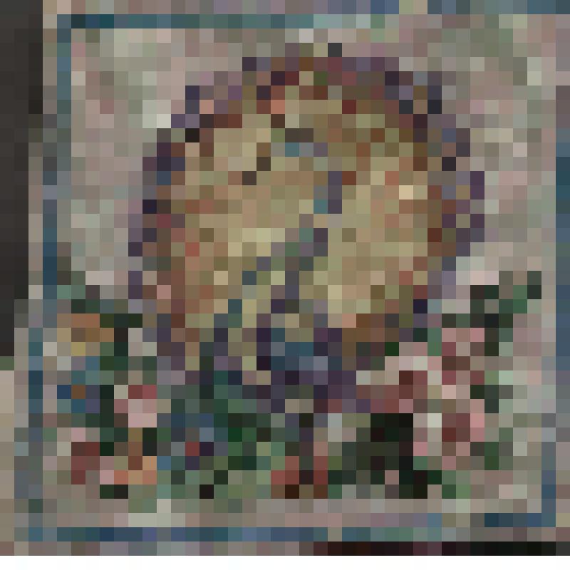 Вышивка  бисером: павлин с распущенным хвостом