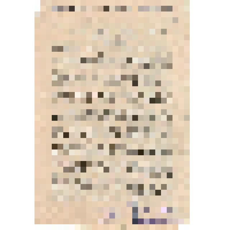 Российская социал-демократическая рабочая партия. Московский комитет РСДРП. Товарищи рабочие