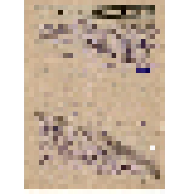 Протокол N 13 общего собрания членов с/х артели им. Молотова