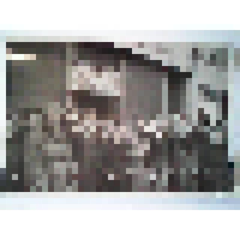 У сборного пункта в городе Беренте