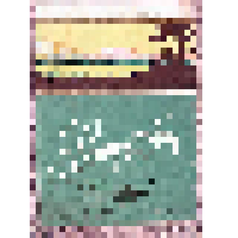 Этикетка бутылочная к вину «Ркацители десертное» производства Грозвино, из коллекции этикеток бутылочных к винам кавказских  и среднеазиатских республик СССР