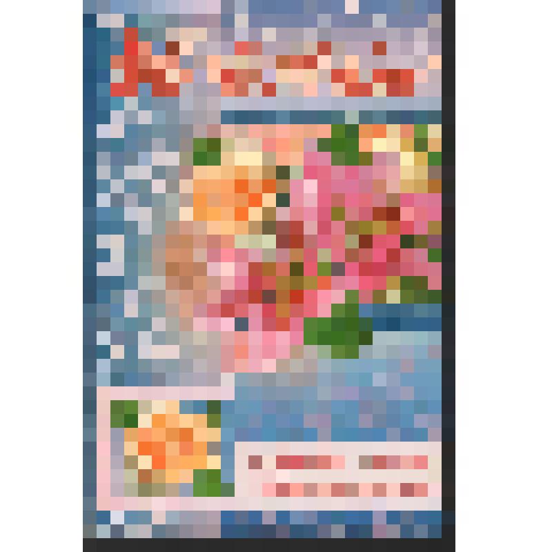 Поздравление  Гавриловой М., Решитько Г. Богомоловой З.А. с юбилеем