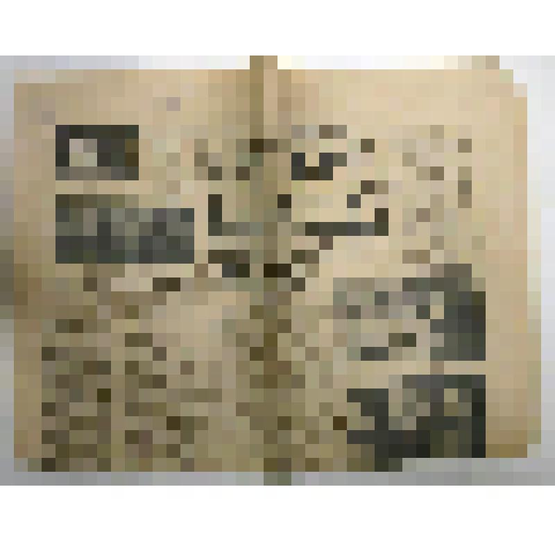 Газета "Русский голос", на русском языке. Шарж на Степанову А.И