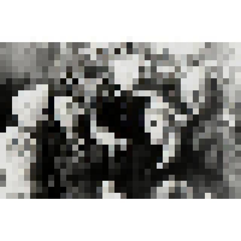 Фотография. Долгополов В. С. - командир 15 ОРЗАПа, базирующегося на территории Петровского района в годы второй мировой войны со своей семьёй на праздновании Нового года