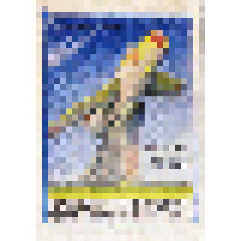 Спичечные этикетки СССР. Серия спичечных этикеток  "25 лет первому в мире полёту человека в космос"