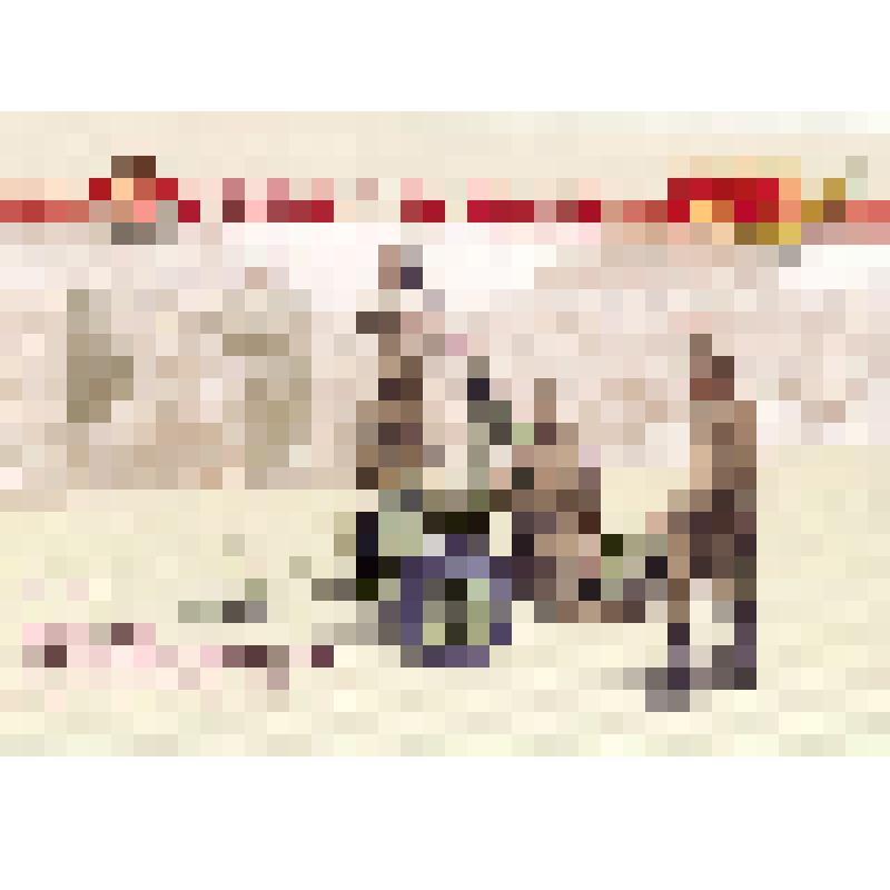 Открытка художественная. 120–мм миномет образца 1941 г. (Оружие Победы)