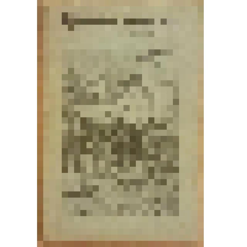 Книга. Свешникова Е. Франциск Ассизский [Text] / Рис. А. Кившенко. - М. : Издательство "Посредник" (№ 11), 1906 (Типогр.торгового дома А.П. Печковский, П.А. Буланже и К°)