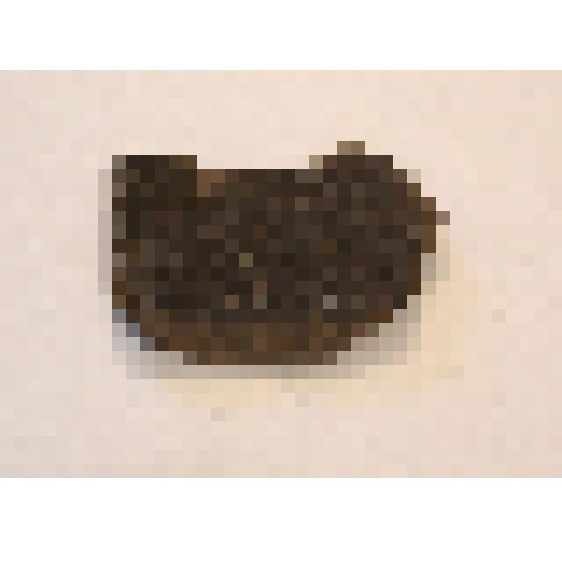 Фрагмент стенки сосуда