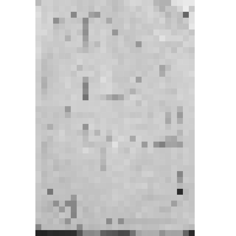 Неизвестный портрет Уфимского земского публициста-демократа Н.В.Ремезова