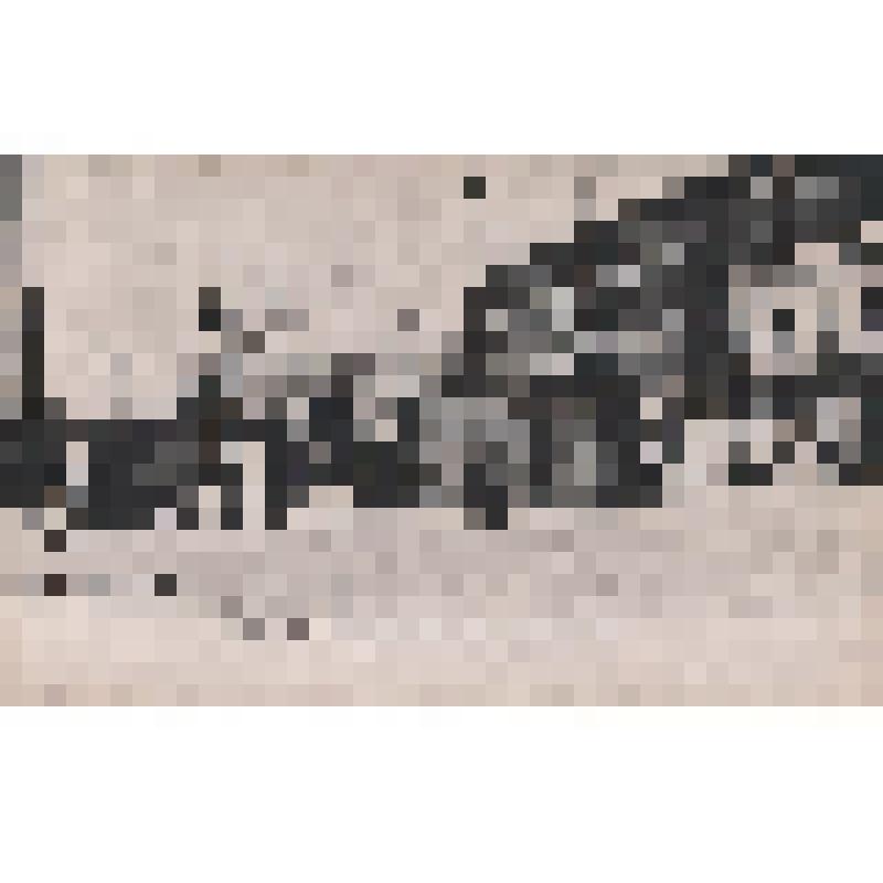 "Одна из баррикад Оружейного переулка"