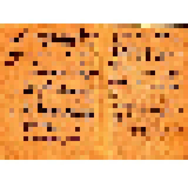 Книжка красноармейская. Выдана Попову В. Ф. командиром роты. 2 ноября 1945 г