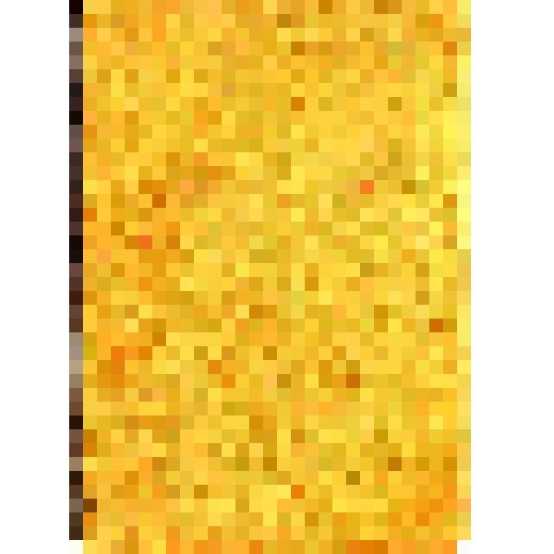 Книжка красноармейская. Выдана Попову В. Ф. командиром роты. 2 ноября 1945 г