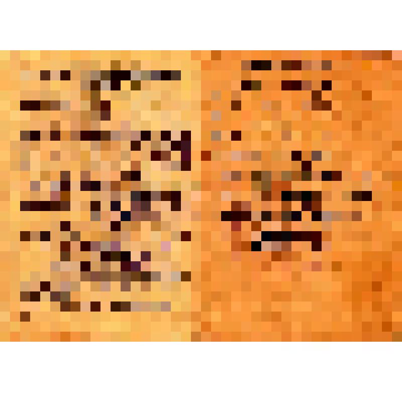 Книжка красноармейская. Выдана Попову В. Ф. командиром роты. 2 ноября 1945 г