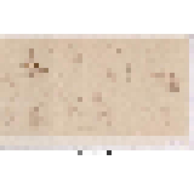 Лама. Рисунок