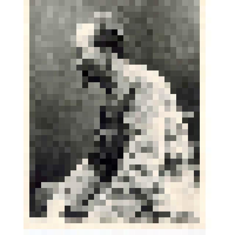 Фотокопия. Дзержинский Ф.Э., председателя ВЧК