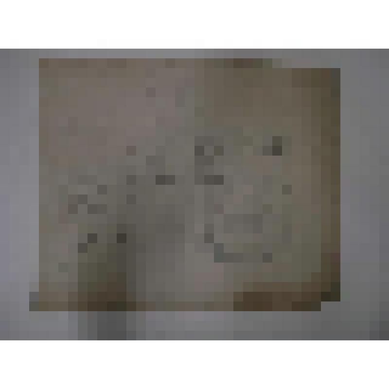 Дворец труда. г. Днепр (Новороссийск, Екатеринослав). 1925 г. Украина, Днепропетровская  обл., г. Екатеринослав (Днепр). Дворец труда. Конкурс. 3 премия. Планы, разрез