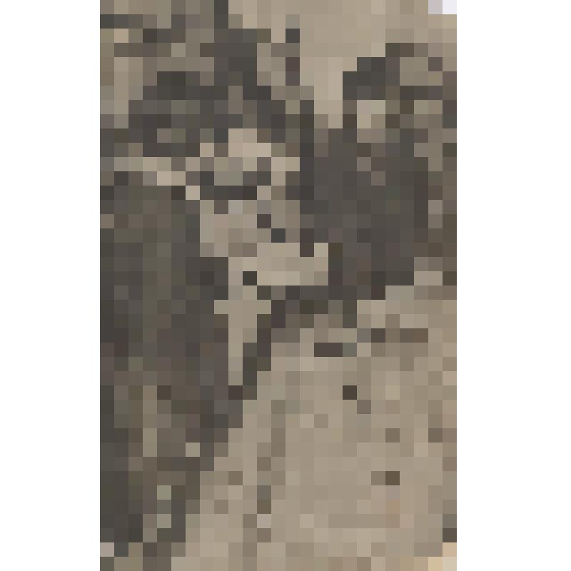 Фотография. Преподаватель Еремеев В.Л. с учащимися 3-го курса Калмпедучилища