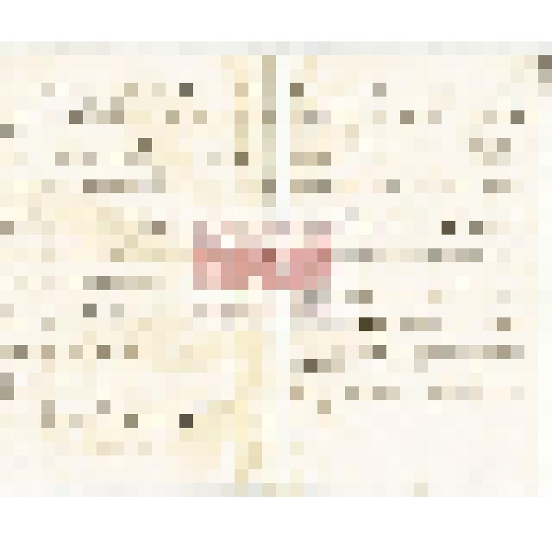 Письмо Мартьянова А. А. Ярилову с уведомлением об отправке 45 образцов горных пород Кузнецкого Алатау по его просьбе для исследований господина Яниша(?), если его они заинтересуют готов выслать ещё. Черновик