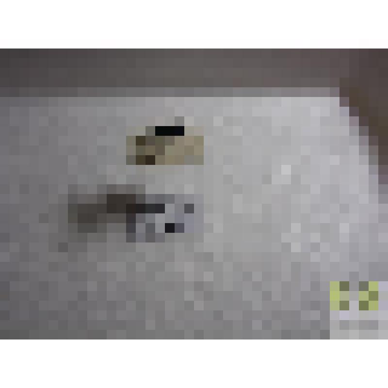 Красотел пахучий (Calosoma sycophanta L)