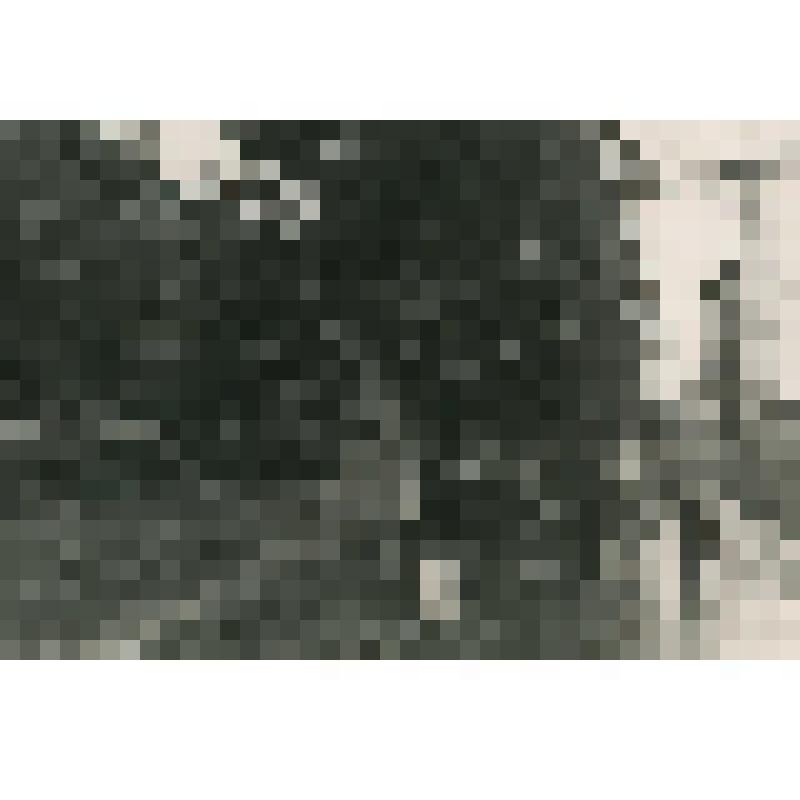Фотография. Дорога после дождя
