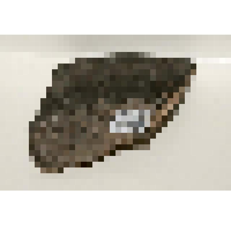 Миска белоглиняная (полный профиль). Следы копоти на внешней и внутренней поверхностях