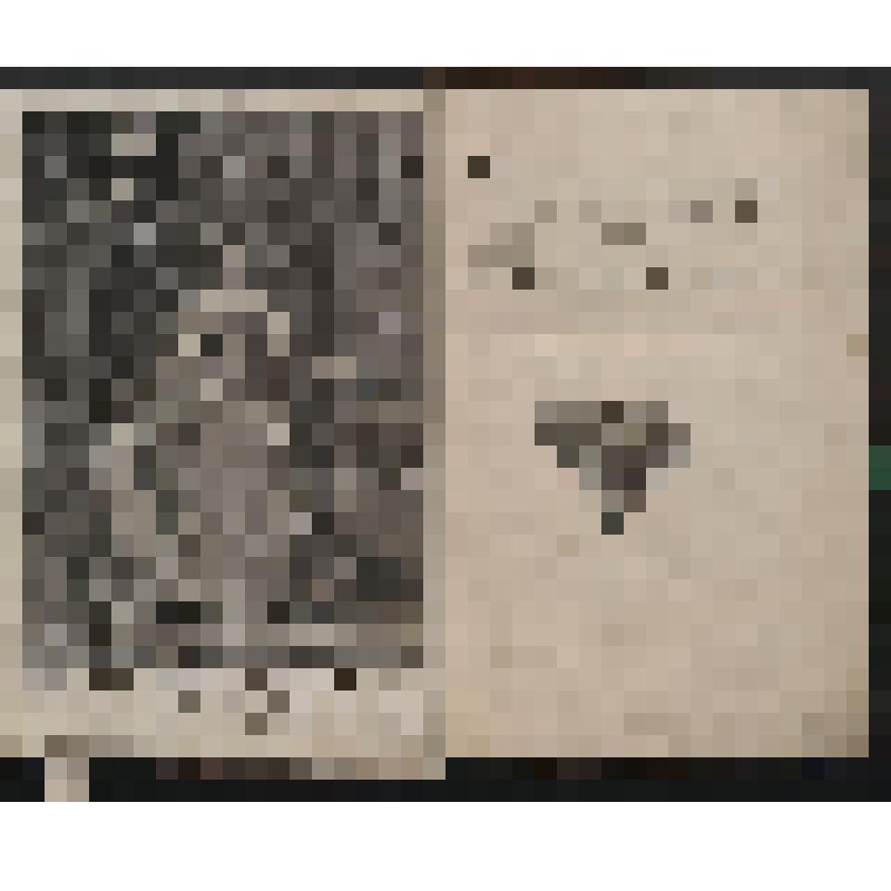 Книга. Описание коронации ея величества императрицы, и самодержицы всероссийскои, Анны Иоанновны, торжественно отправленной в царствующем граде Москве, 28 апреля 1730 году