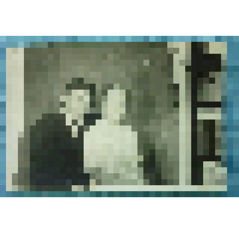 Фотография парная